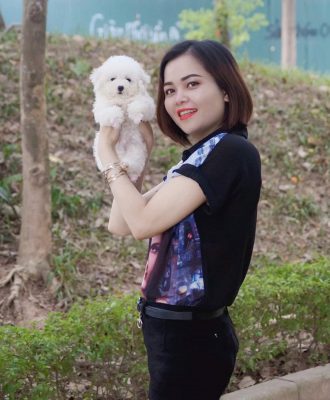 Cách tắm cho chó Poodle đúng cách, tư vấn chọn sữa tắm