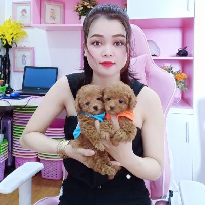 Cửa Hàng Bán Chó Cảnh