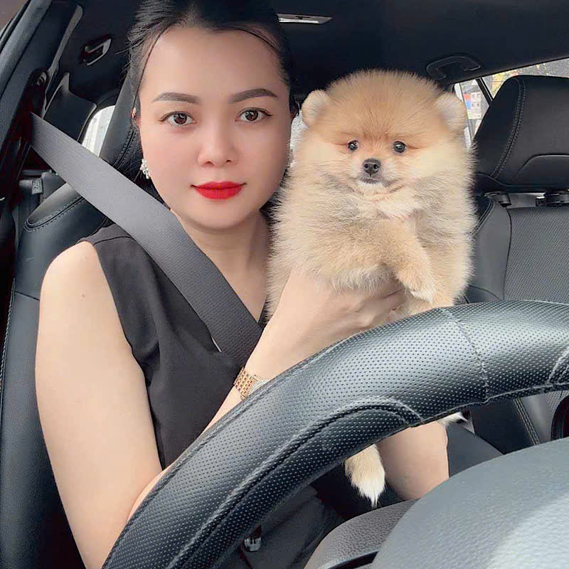 Phốc Sóc - PSV2310