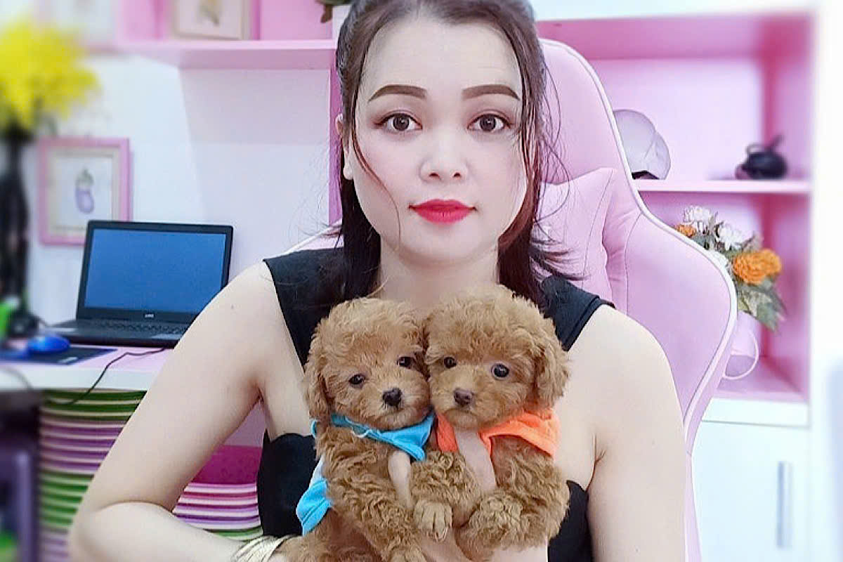 Cửa hàng bán chó cảnh Hà Nội