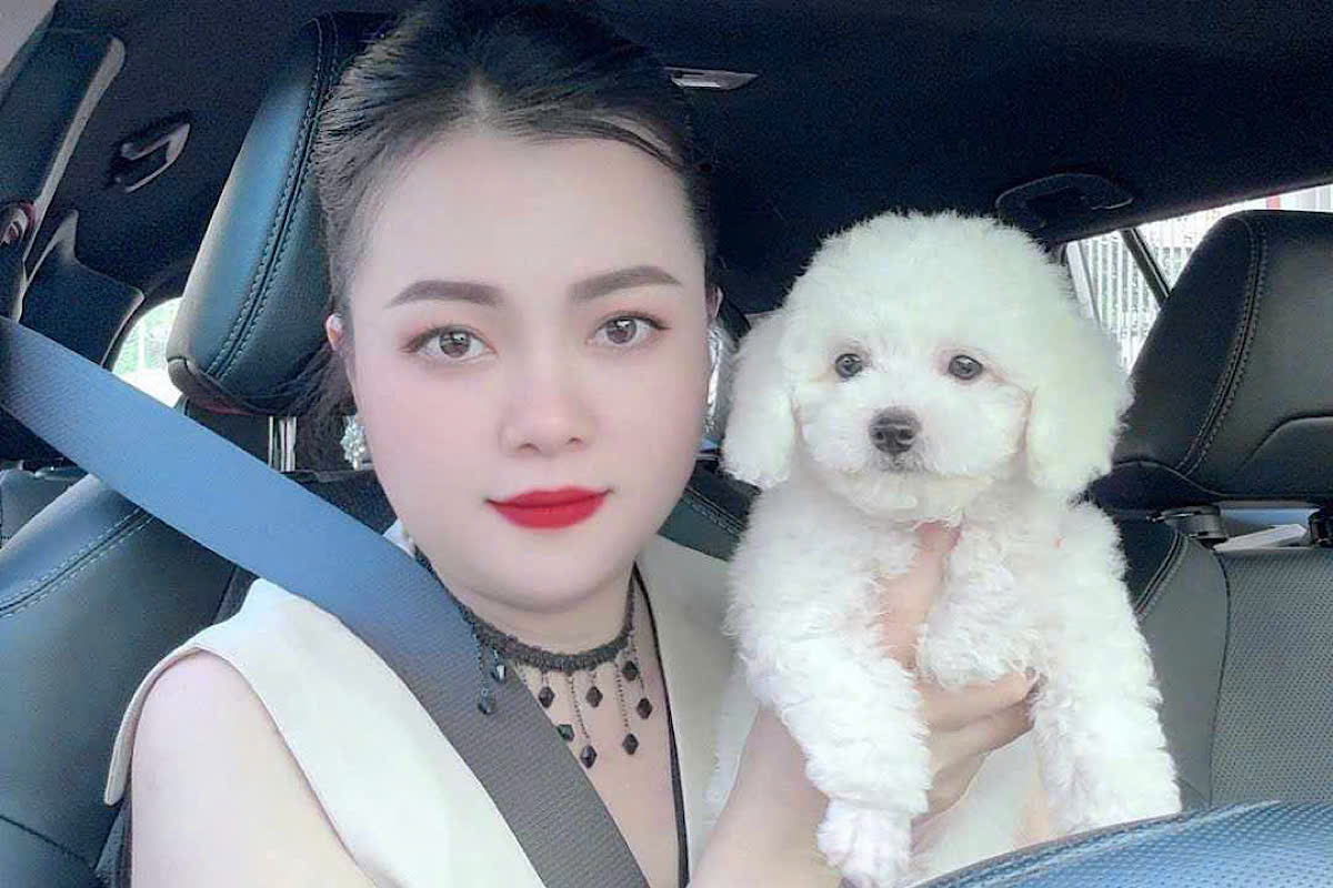 Chó Poodle tại Poodle.com.vn